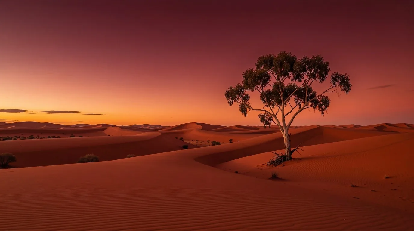 Australian outback landscape at golden hour